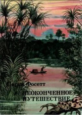 Перси Фосетт Неоконченное путешествие обложка книги