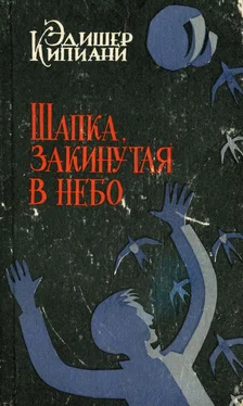 Эдишер Кипиани Шапка, закинутая в небо обложка книги