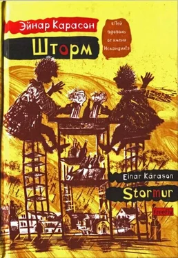 Эйнар Карасон Шторм обложка книги