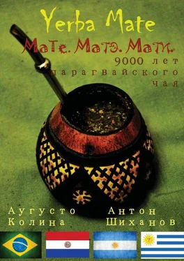 Аугусто Колина Yerba Mate: Мате. Матэ. Мати. 9000 лет парагвайского чая обложка книги