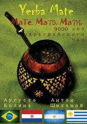 Аугусто Колина - Yerba Mate - Мате. Матэ. Мати. 9000 лет парагвайского чая