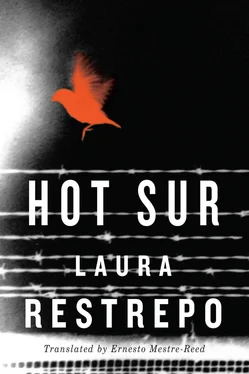 Laura Restrepo Hot Sur обложка книги