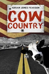 Adrian Pearson - Cow Country