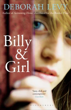 Deborah Levy Billy and Girl обложка книги