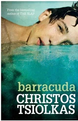 Christos Tsiolkas - Barracuda