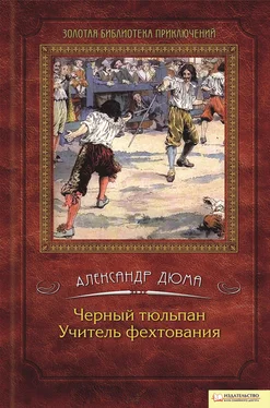 Александр Дюма Черный тюльпан. Учитель фехтования (сборник) обложка книги