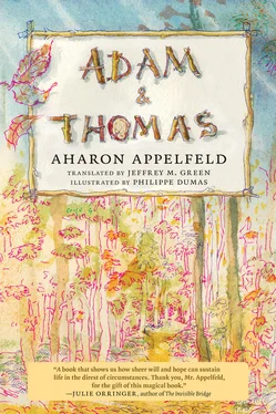 Aharon Appelfeld Adam and Thomas обложка книги