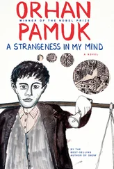 Orhan Pamuk - A Strangeness in My Mind