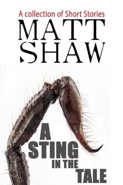 Matt Shaw A Sting in the Tale: A Collection of Short Stories обложка книги