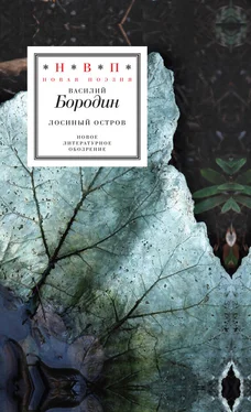 Василий Бородин Лосиный остров (сборник) обложка книги