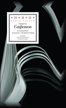Никита Сафонов Разворот полем симметрии обложка книги