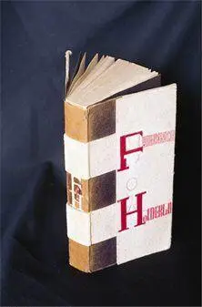 Прости навалился я на тебя с этими книгами Это все госпожа Шварцвальд - фото 38