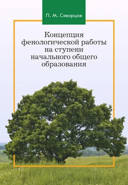 Павел Скворцов Концепция фенологической работы на ступени начального общего образования