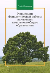 Павел Скворцов - Концепция фенологической работы на ступени начального общего образования