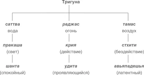 пракашакриястхитишилам бхутаиндрияатмакамбхогаапаваргаартхам дришьям - фото 6