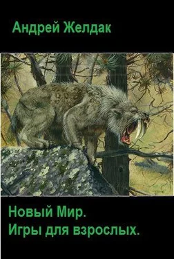 Андрей Желдак Игры для взрослых (СИ) обложка книги