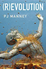 P. Manney - (R)evolution