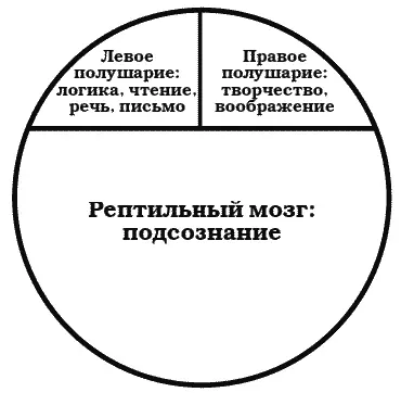 2 Правое полушариеЭта часть мозга часто ассоциируется с образным восприятием - фото 28