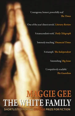 Maggie Gee The White Family обложка книги