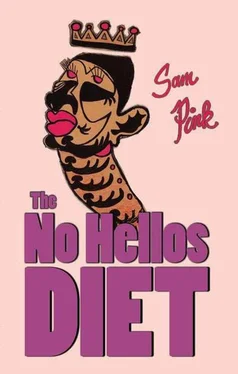 Sam Pink The No Hellos Diet обложка книги