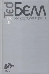 Тед Белл - Между адом и раем
