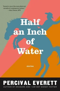 Percival Everett Half an Inch of Water: Stories