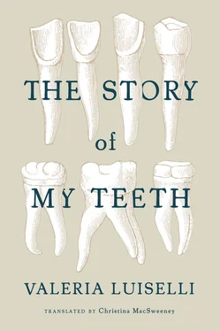 Valeria Luiselli The Story of My Teeth обложка книги