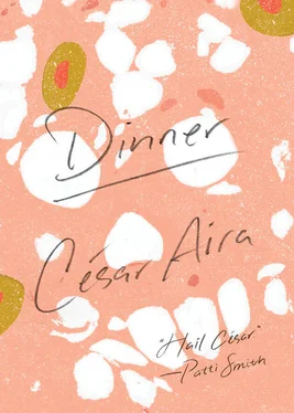 César Aira Dinner обложка книги