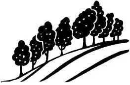 JOAN WALKS WITH the Major and with Leafy wife of the redoubtable Colonel - фото 13