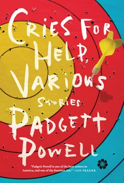Padgett Powell Cries for Help, Various: Stories