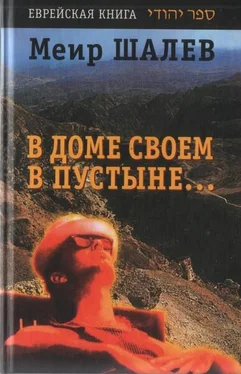 Меир Шалев В доме своем в пустыне обложка книги