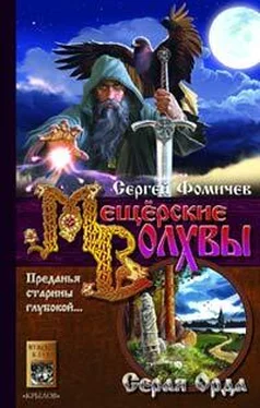 Сергей Фомичев Серая Орда обложка книги