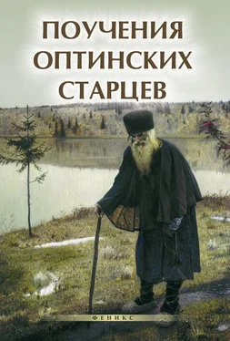 Елена Елецкая Поучения Оптинских старцев обложка книги