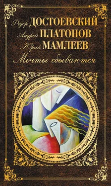 Федор Достоевский Мечты сбываются (сборник) обложка книги