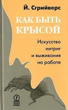 Йооп Сгрийверс Как быть крысой. Искусство интриг и выживания на работе обложка книги