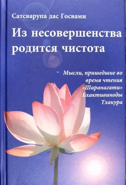 Сатсварупа Даса Госвами Из несовершенства возникнет чистота обложка книги