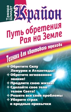 Тамара Шмидт Крайон. Путь обретения рая на Земле. Техники для квантового перехода обложка книги