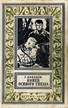 Георгий Брянцев Конец Осиного гнезда (Рисунки В. Трубковича) обложка книги