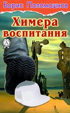 Борис Поломошнов Химера воспитания обложка книги