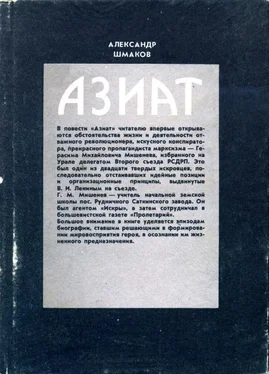 Александр Шмаков Азиат обложка книги