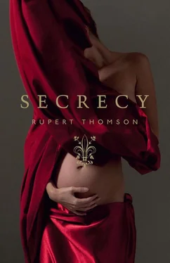 Rupert Thomson Secrecy обложка книги