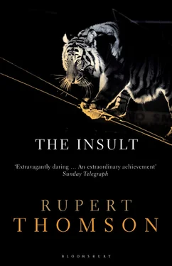 Rupert Thomson The Insult обложка книги