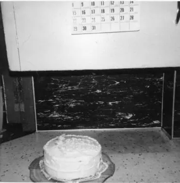 Images from Absences by Amory Clay Frankel Silverman 1943 3 DDAY - фото 31