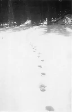 Images from Absences by Amory Clay Frankel Silverman 1943 3 DDAY - фото 32