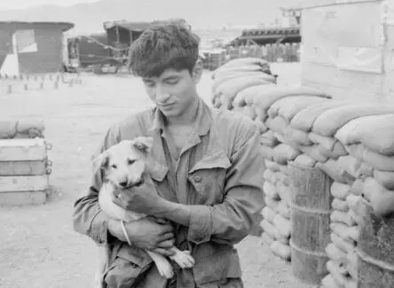 South Vietnam 1967 From Vietnam Mon Amour And I also started travelling out - фото 61