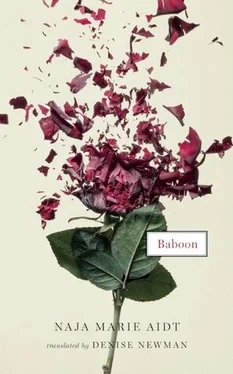 Naja Aidt Baboon обложка книги