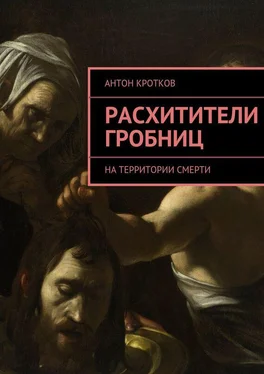 Антон Кротков Расхитители гробниц обложка книги