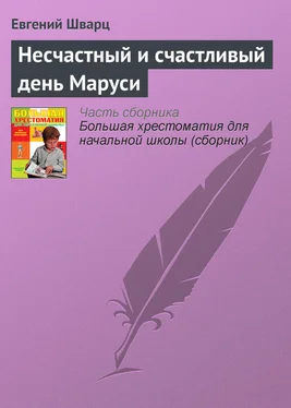 Евгений Шварц Несчастный и счастливый день Маруси обложка книги