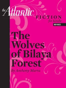 Anthony Marra The Wolves of Bilaya Forest обложка книги