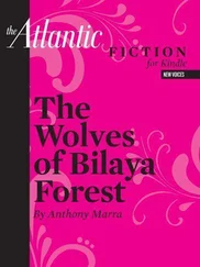 Anthony Marra - The Wolves of Bilaya Forest